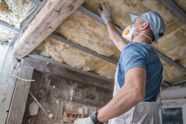 Best Eco-Friendly Insulation in Country Knolls, NY